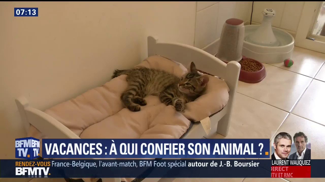 Savez-vous à qui confier votre animal pendant vos vacances ?