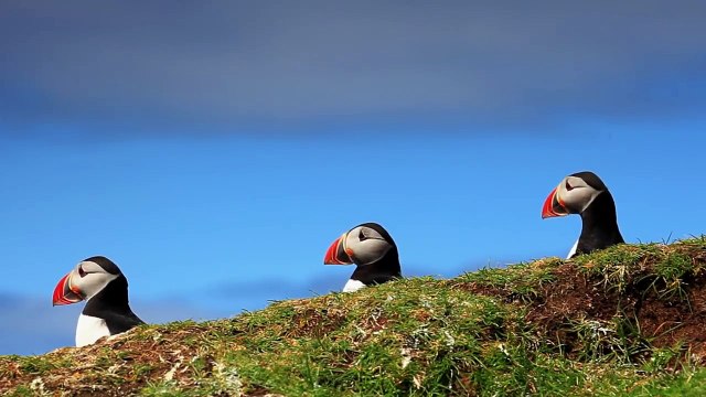 A journey into the mountains of the Faroe Islands gave me a sense of peace and liberation. The magnificent nature offered me the perfect setting for an opportu