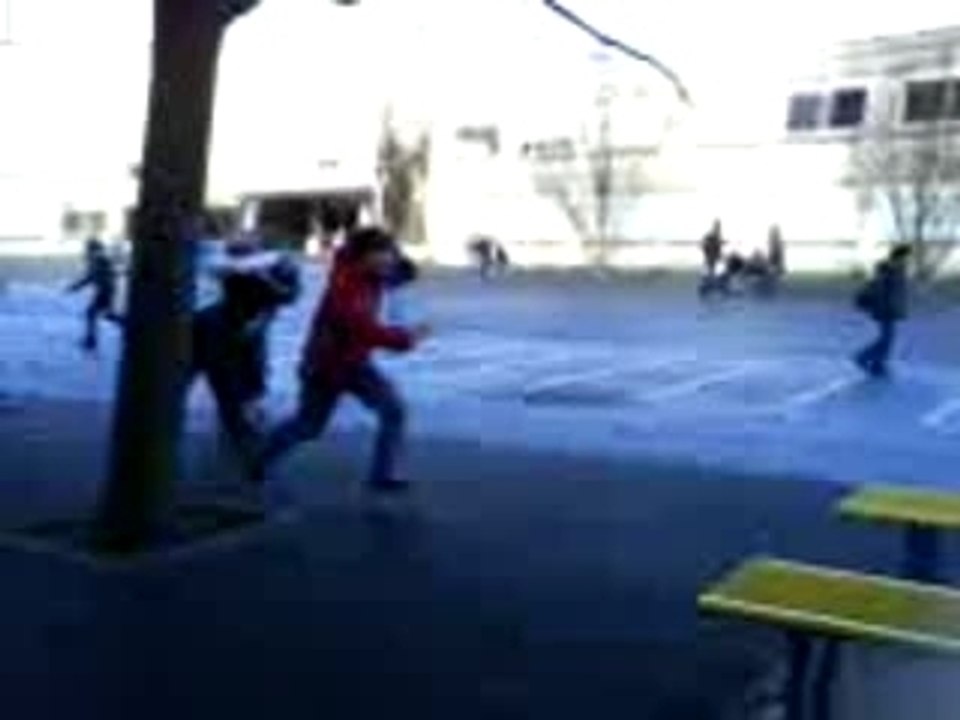 les rois du bitume