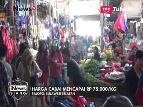 Pedasnya Harga Cabe Rawit di Palopo Mencapai Rp 75.000/Kg - iNews Siang 20/03