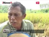 Pro & Kontra Warga Terhadap Pabrik Semen di Rembang, Jateng - iNews Petang 24/03