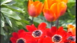 Gardeners' World [1991] 05