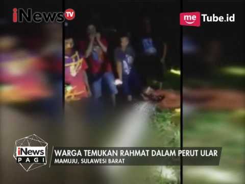 SADIS!!! Warga dimangsa ular piton - iNews Pagi 29/03