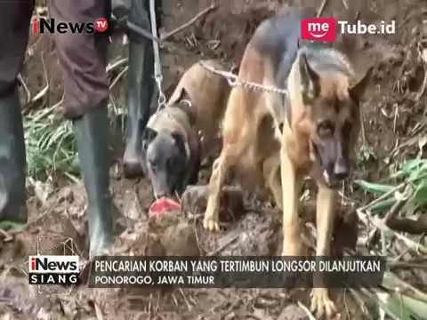 Polisi Kerahkan 5 Anjing Pelacak Tambahan Untuk Cari Korban Tertimbun Longsor - iNews Siang 05/04