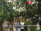 Video Amatir, Belasan penerjun payung tersangkut pohon - iNews Petang 06/04