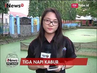 Download Video: 3 Napi yang Kabur Dari Lapas Makassar Terkait Kasus Berat - iNews Petang 08/05