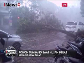 Video Amatir, Hujan Angin & Es Terjang Bandung & Robohkan Pohon - iNews Pagi 24/04