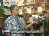 Anies Baswedan Beli Burung di Pasar Burung Pramuka - iNews Pagi 03/05