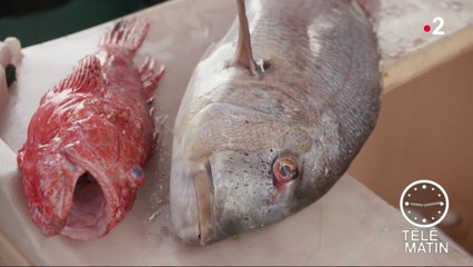 Sciences - La pêche en corse