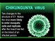 Chikungunya Virus : Symptoms, Treatment and Prevention