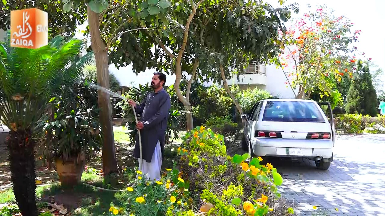 Chanda Taray - Episode 34 - 9 July 2018 - Zaiqa TV