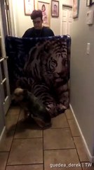Dog doesn't give a damn about What The Fluff Challenge