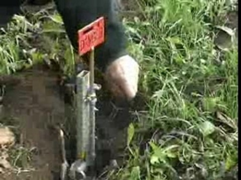 Feu d'artifice pour taupes et autres rongeurs