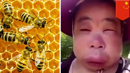 ハチの巣を丸ごと採取しようとした女性 刺されて顔がパンパンに - トモニュース
