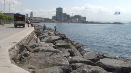 Bakırköy Sahili'nde Cenin Bulundu