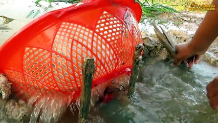 Believe This Fishing Unique Fish Trapping System Using Long Pipe  Big Plastic Bottle By Smart Boy
