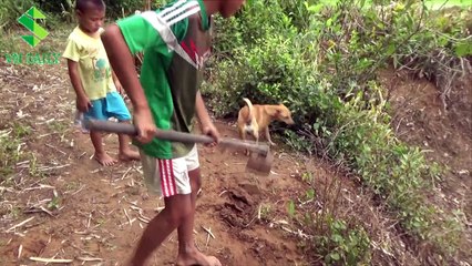 Increíble El Niño Inteligente Hace Trampa Rápida De Aves Y Eficaz - Trampa De Pájaro Simple