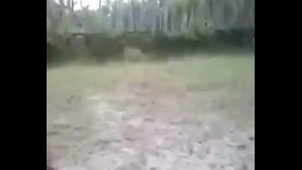 Funniest Penalty Kick Ha Ha Ha