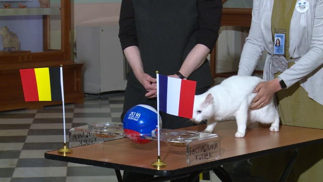 CdM 2018 - Entre France et Belgique, Achille le chat a fait son choix