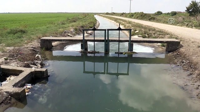 Sulama kanalında ceset bulundu - ADANA