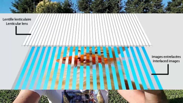 Smartphone 3D Relief SANS Lunettes : Révolutionnaire ! (billet d'humeur)