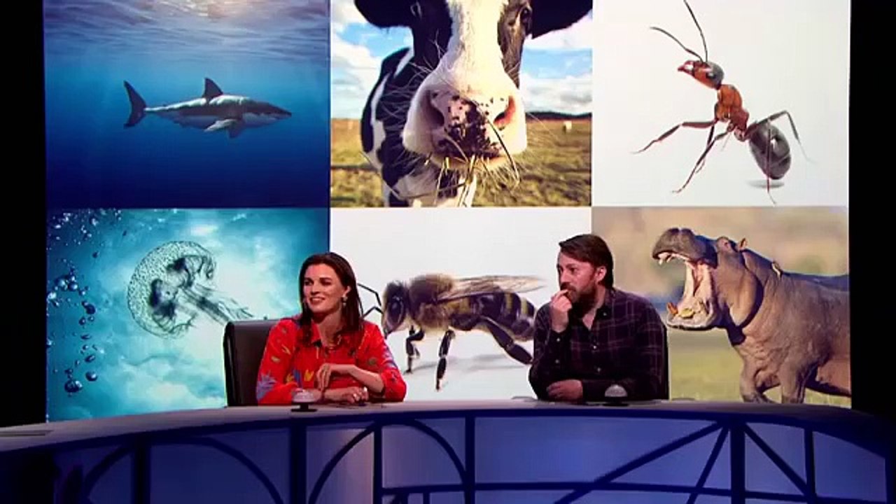 QI - S 15 - E 3 - OCEANS