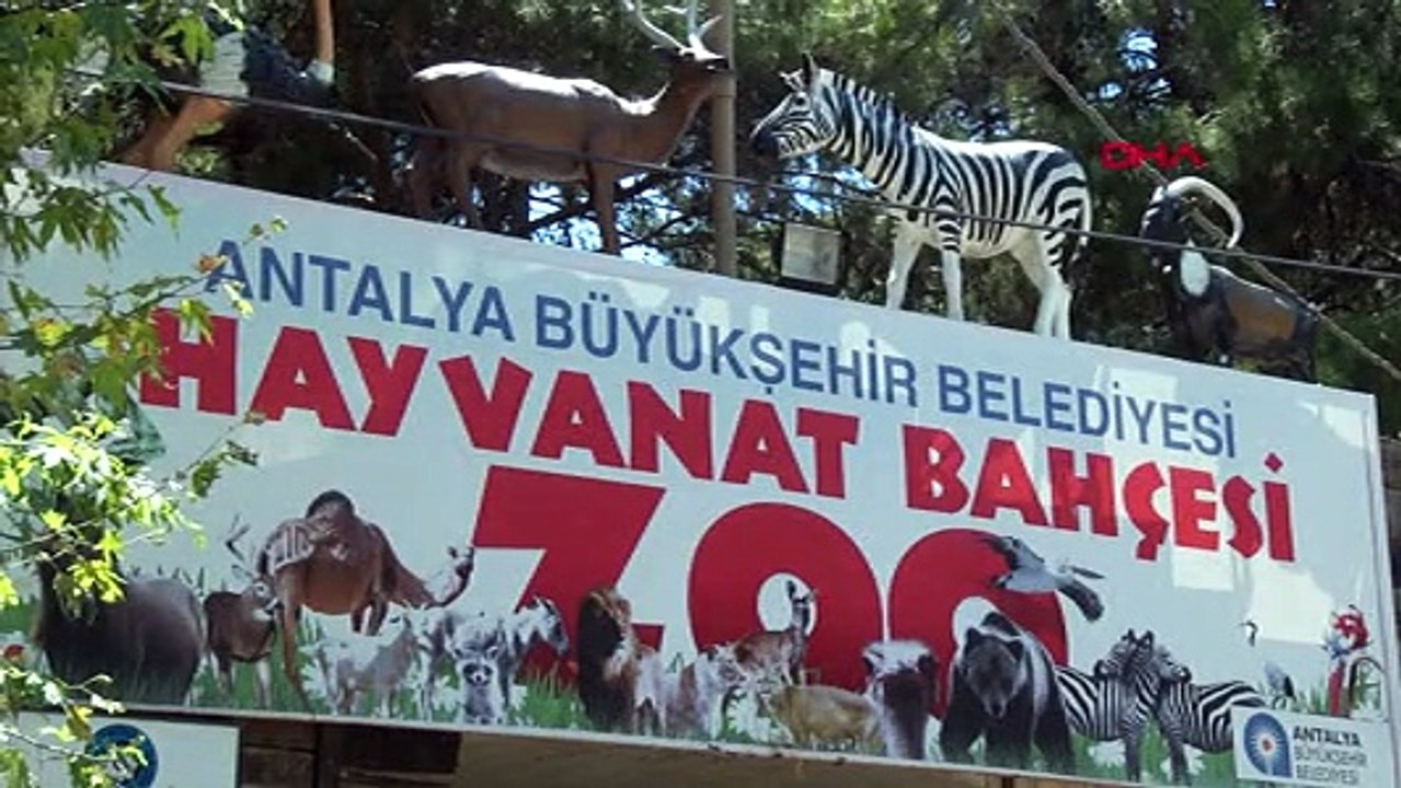 Antalya'da hayvanat bahçesinin gözdesi 'Trump'