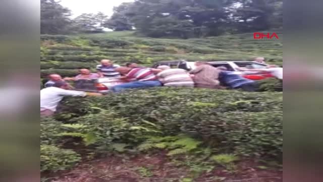 Rize Çay Tarlasına Devrilen Kamyonete 'Rize İşi' Kurtarma
