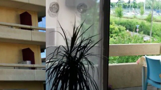 A louer - Appartement - Renens (1020) - 1 pièce - 21m²