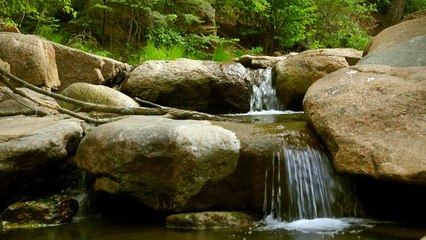 Cascading Mountain Stream | FREE NATURE STOCK FOOTAGE