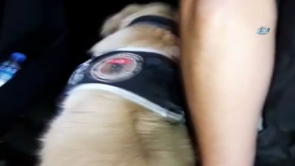 İç çamaşırından eroin çıktı