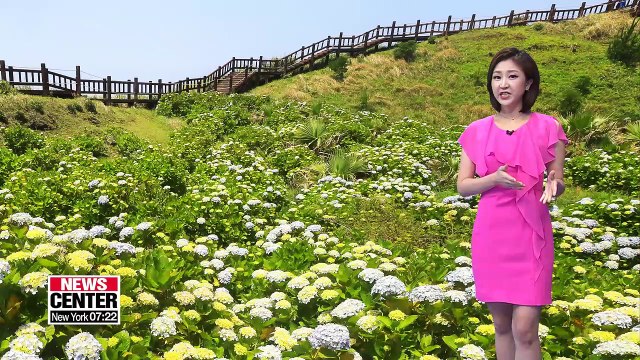 Heatwave alerts in the south, hotter condition tomorrow _ 071018