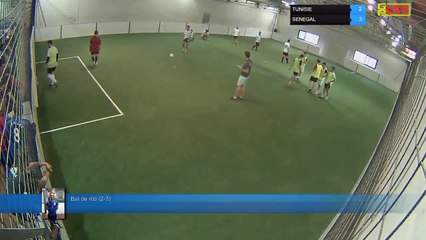But de rob (2-3) - TUNISIE Vs SENEGAL - 09/07/18 21:40 - PHASE FINALE CDM 2018 - Poitiers Game Parc