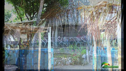 Panama Real Estate - Beach Front! - Puerto Armuelles