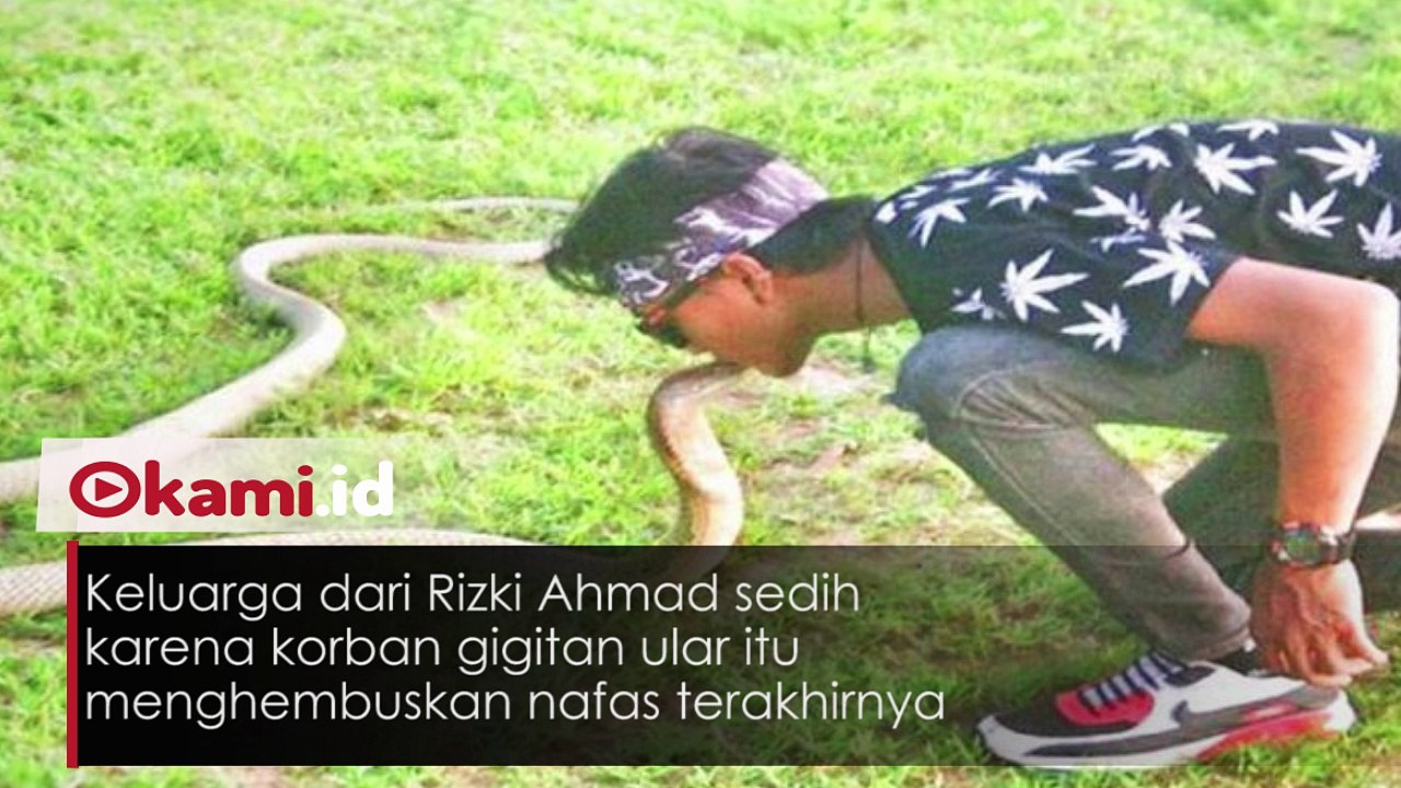 Pesan Terakhir Rizki yang Tewas Digigit Ular King Cobra
