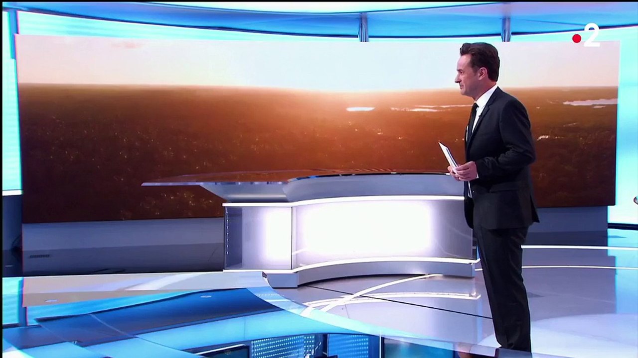 Plages de Tanzanie : un paradis protégé