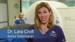 Holy Sea-Cow! There's A Manatee In That Hospital | SeaWorld®