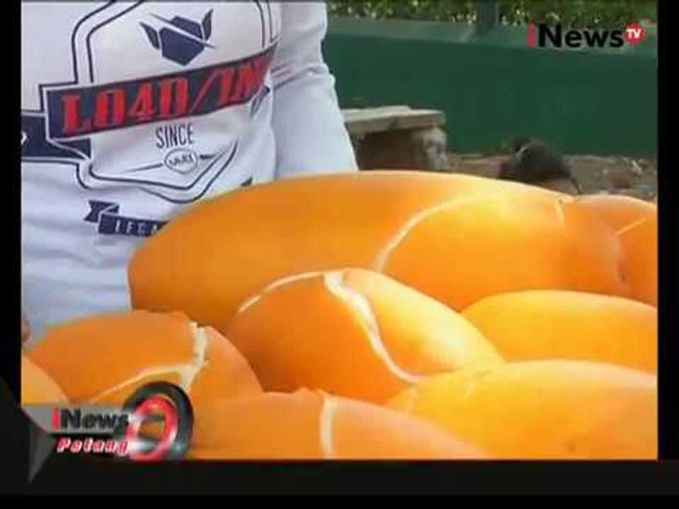 Panen Timun Suri - iNews Petang 19/06