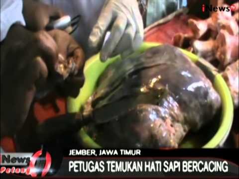 Saat Razia Makanan, Petugas Menemukan Daging Hati Sapi Bercacing - iNews Petang 25/06