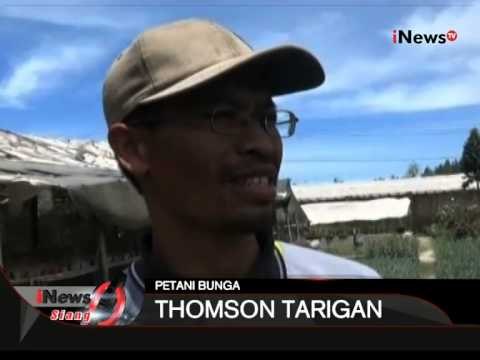 Dampak Erupsi Gunung Sinabung Mengancam Gagal Panen - iNews Siang 30/06