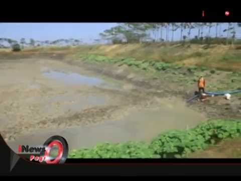 Kemarau Panjang, Waduk Buatan Turut Mengering, Petani Khawatirr Gagal Panen - iNews Pagi 27/07