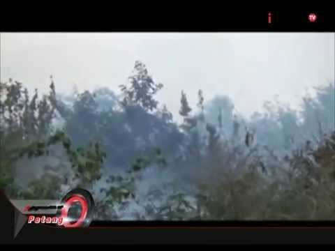 Kebakaran Lahan Gambut Di Kab.Pali, Sumatra Selatan - iNews Petang 27/07