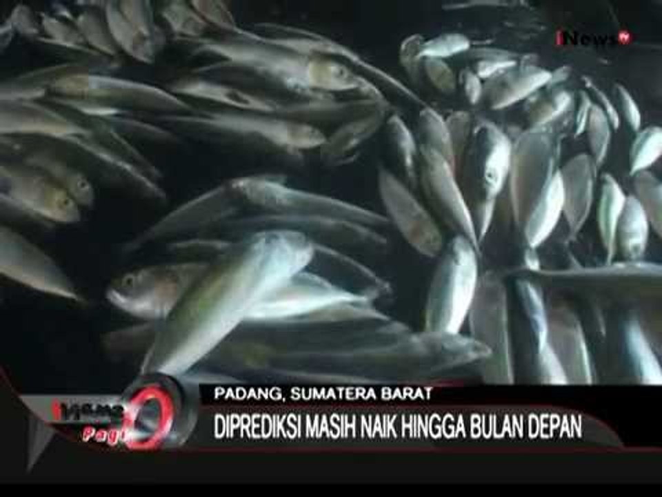 Nelayan Belum Melaut, Harga Ikan Di Padang Naik Hingga 70% - iNews Pagi 27/07