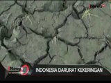 Ribuan Hektare Sawah Kekeringan, Petani Terancam Gagal Panen - iNews Petang 29/07