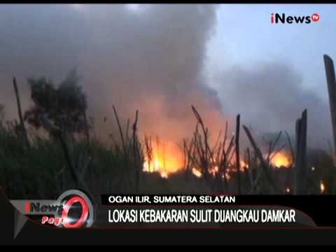 Kebakaran Lahan Kosong Di Palembang Dicuekin Petigas BNPB - iNews Pagi 30/07