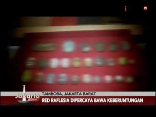 Mitos Batu Akik, Sungai Dareh Awal Booming Batu Akik - Jakarta Today 29/07