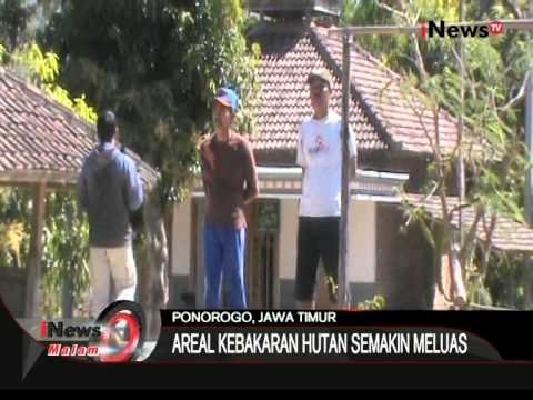 Kebakaran Hutan Di Ponorogo, Jawa Timur Semakin Meluas - iNews Malam 03/08