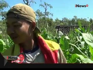 Video herunterladen: Dampak Kekeringan Di Polewali Mandar, Sulbar - iNews Pagi 03/08