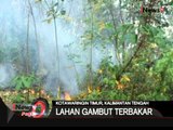 Lahan Gambut Terbakar, Kotawaringin Timur, Kalimantan Tengah - iNews Pagi 04/08