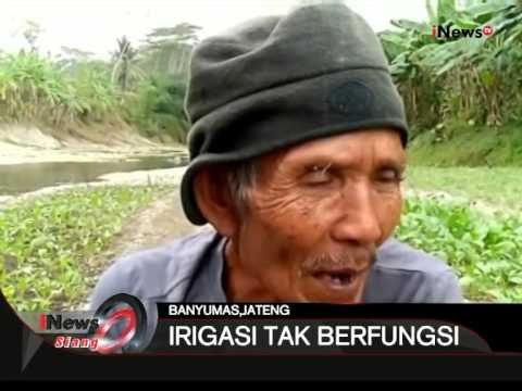 Irigasi Tak Berfungsi Di Banyumas, Jateng - iNews Siang 04/08